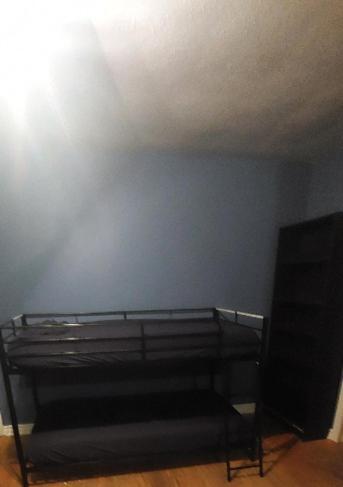 Zen Hostel トロント エクステリア 写真